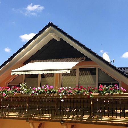 Ferienwohnung Am Eichenberg بلانكنبرغ المظهر الخارجي الصورة